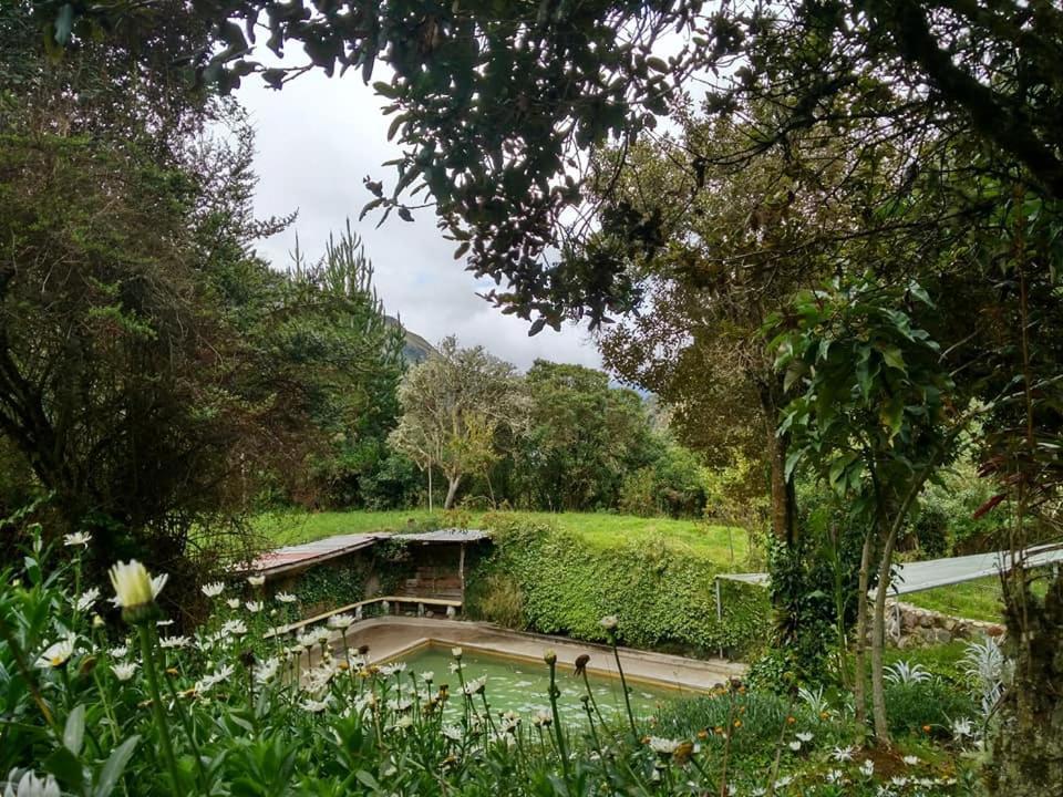 Termas El Pantanal Villa Papallacta Eksteriør billede